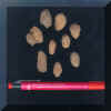 Lapilli acrecional