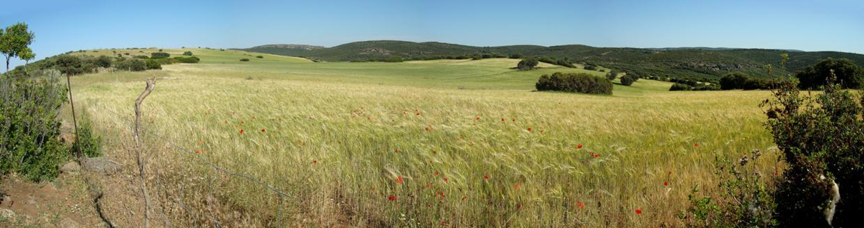 Crter del volcn La Encina