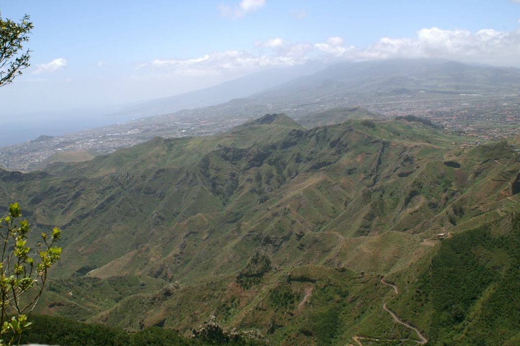 Dorsal de Pedro Gil desde Anaga