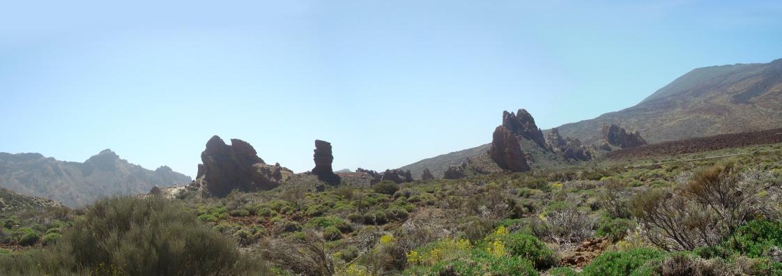 Roques de Garca
