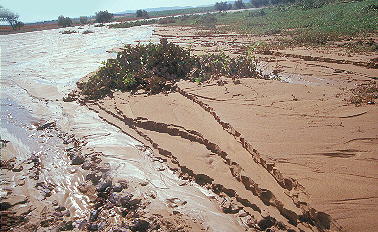 Arroyo formado por las aguas del chorro