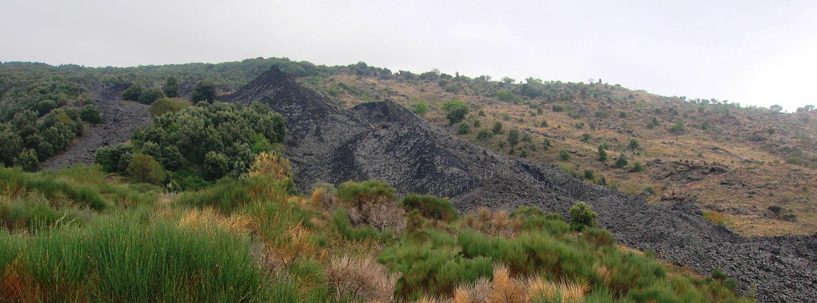 Fisura eruptiva de la cota 1200. Erupcin de Randazzo-Montelaguardia, 1981