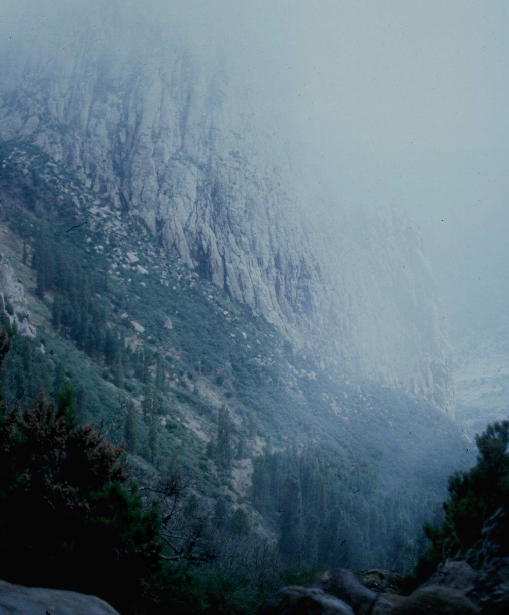 Roques entre la niebla