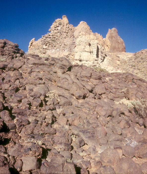 Lava en tripas