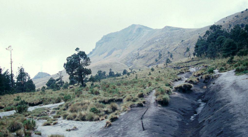 Cima y barranqueras en La Malinche