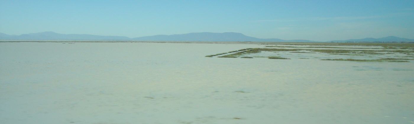 Crecida de las aguas tras fuertes tormentas