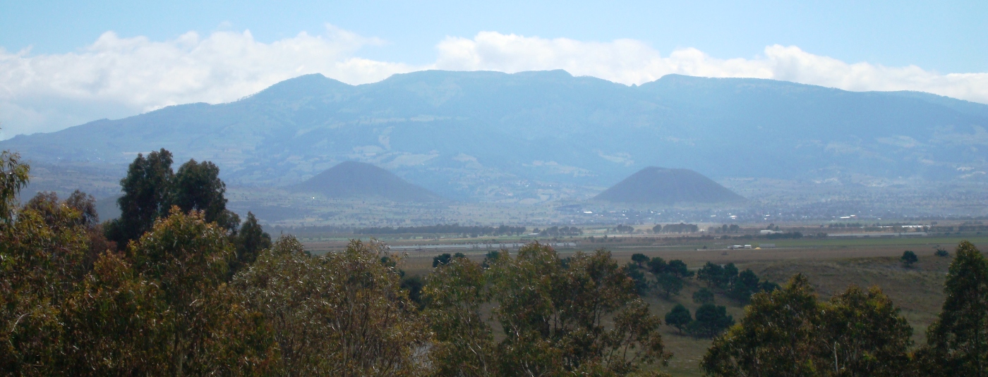 Volcanes monognicos