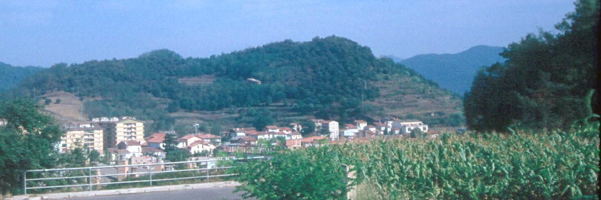 Montolivt