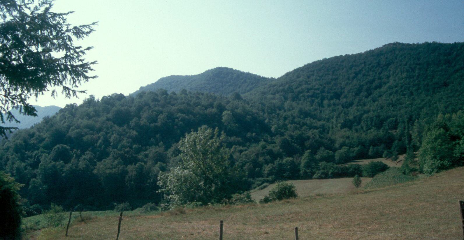 Interior del crter de Sta. Margarida