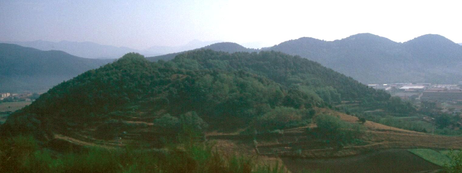 Montolivt
