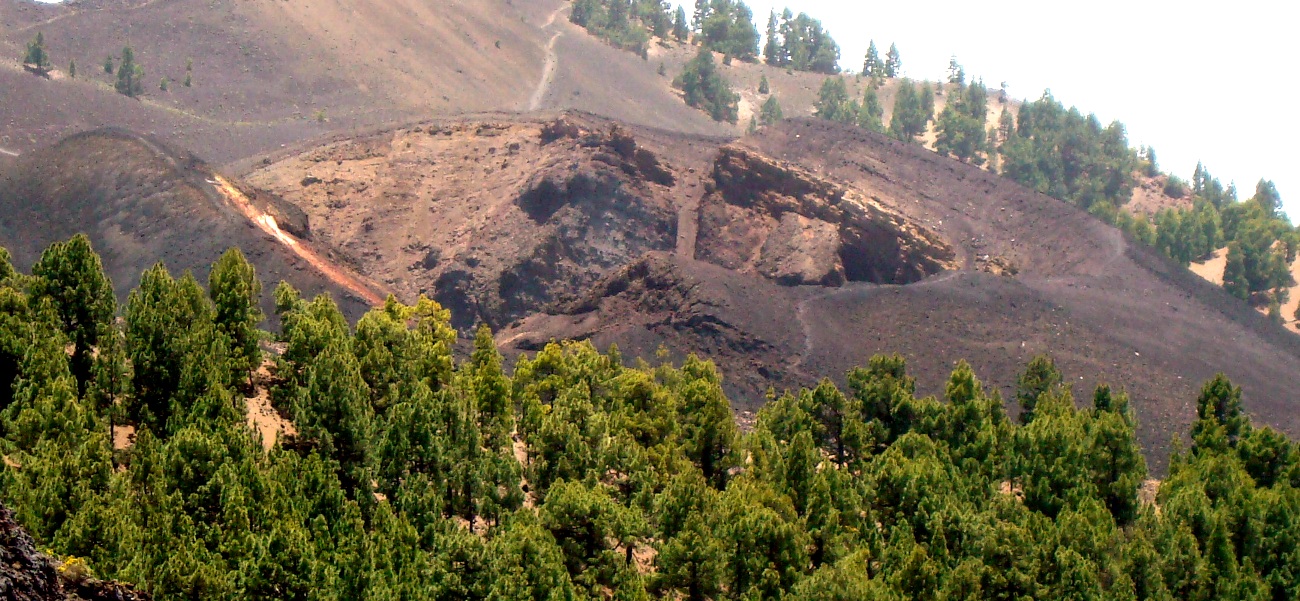Duraznero