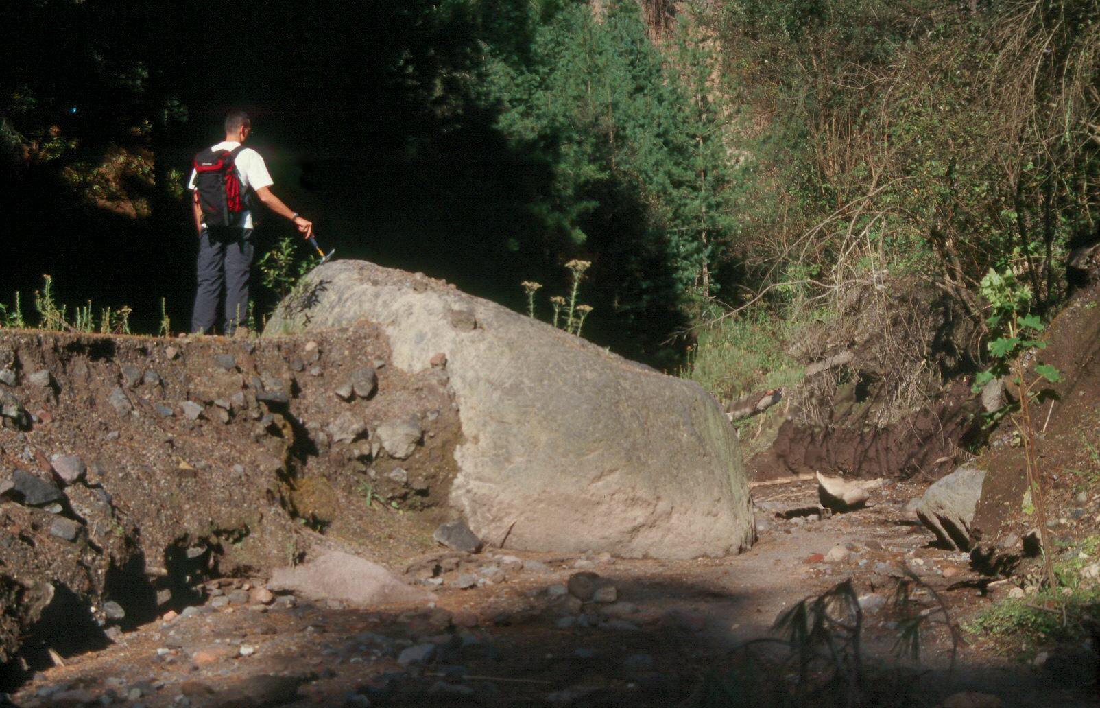 Bloque arrastrados por un lahar