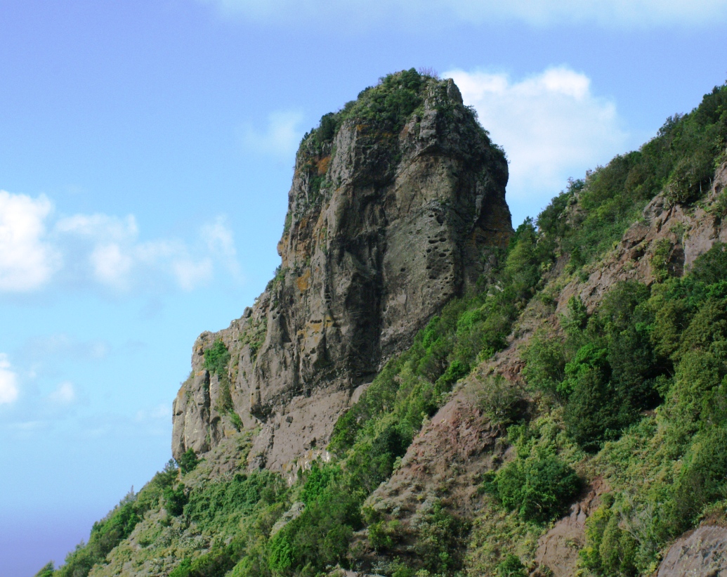 Roque