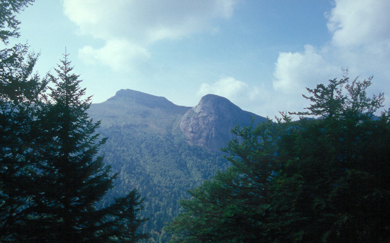 Plomb de Cantal