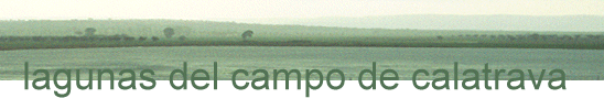 Las lagunas del Campo de Calatrava