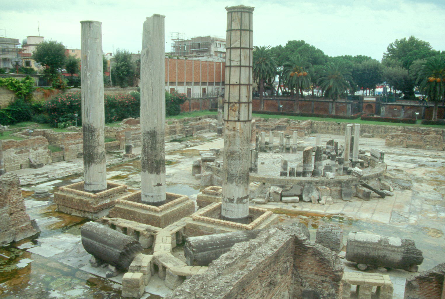 Huellas de hbitat de moluscos en las columnas de Serapio