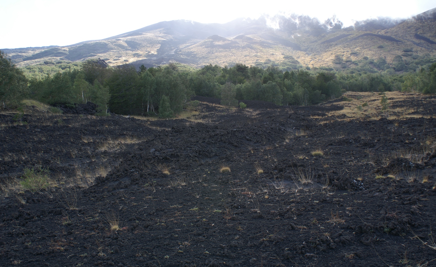 Coladas de 1971 en el entorno del refugio Citelli. Destruccin parcial del abedular