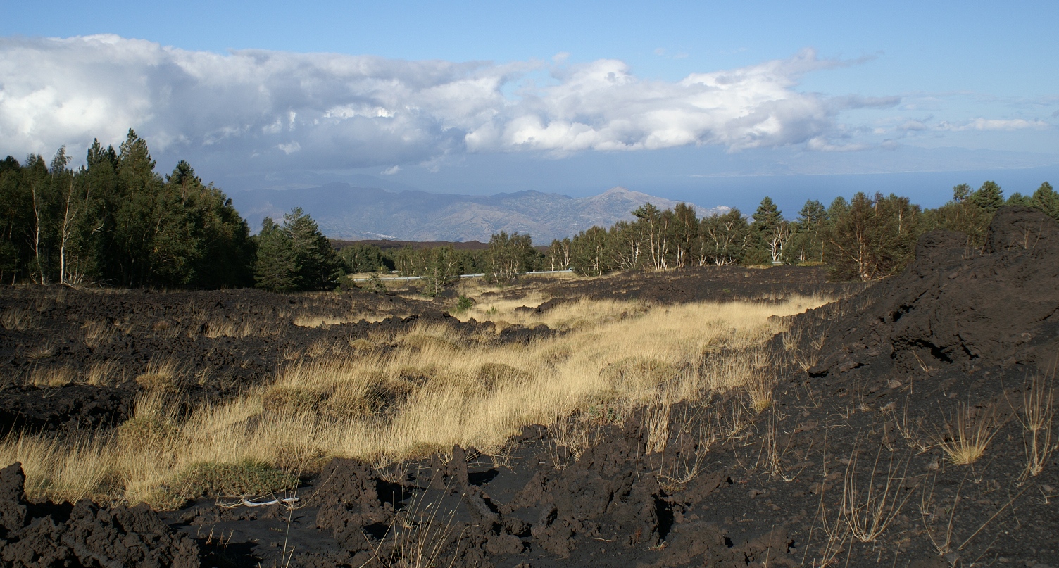 Coladas de 1971 en el entorno de Citelli. Destruccin del bosque de abedules.