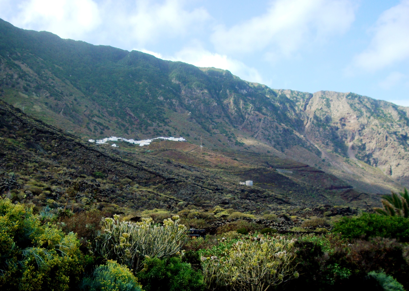Bajo la cumbre. Sabinosa