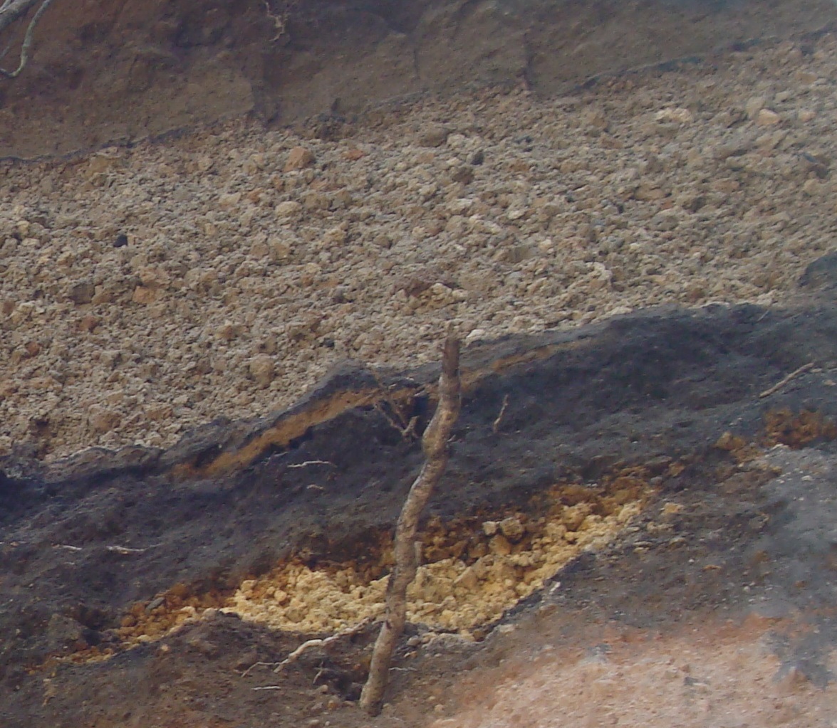 Detalle