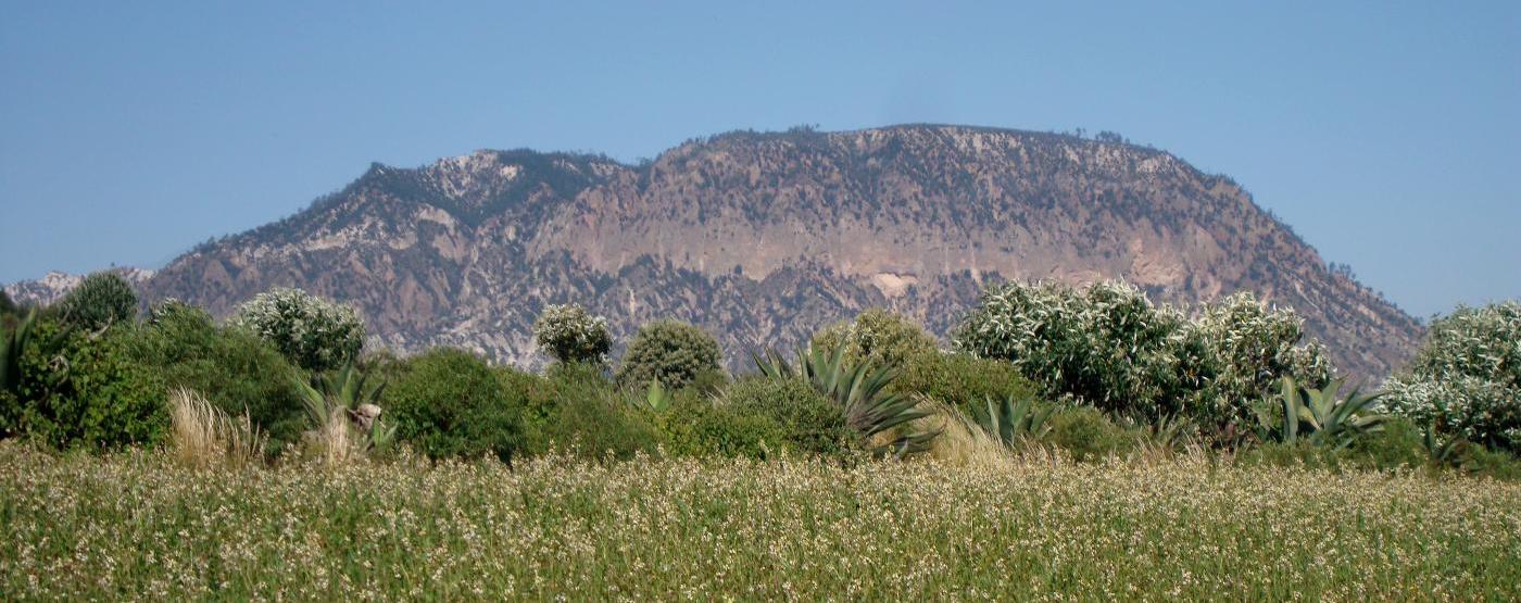 Cerro Pinto