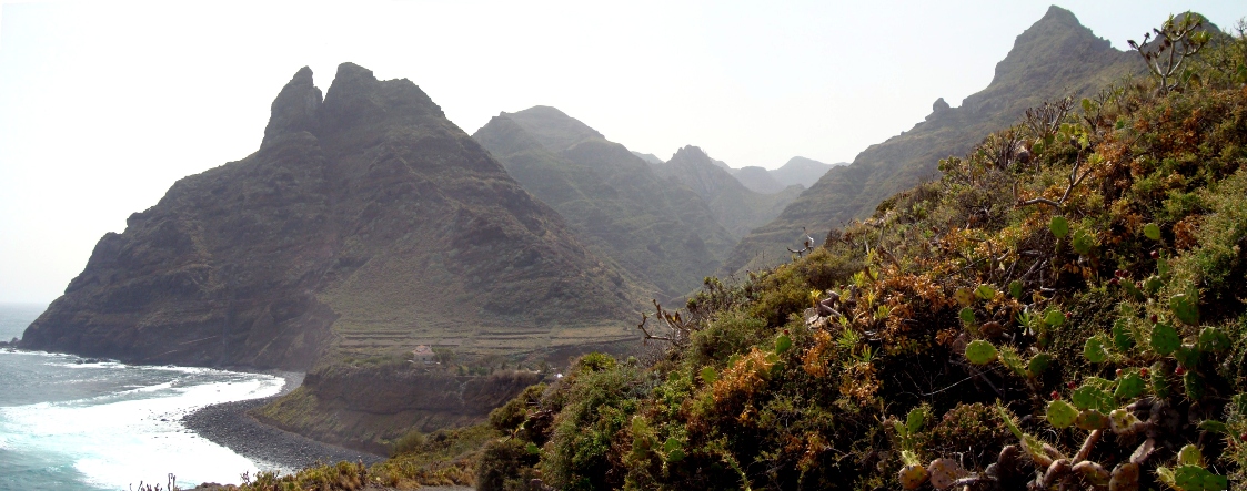 Punta del Hidalgo
