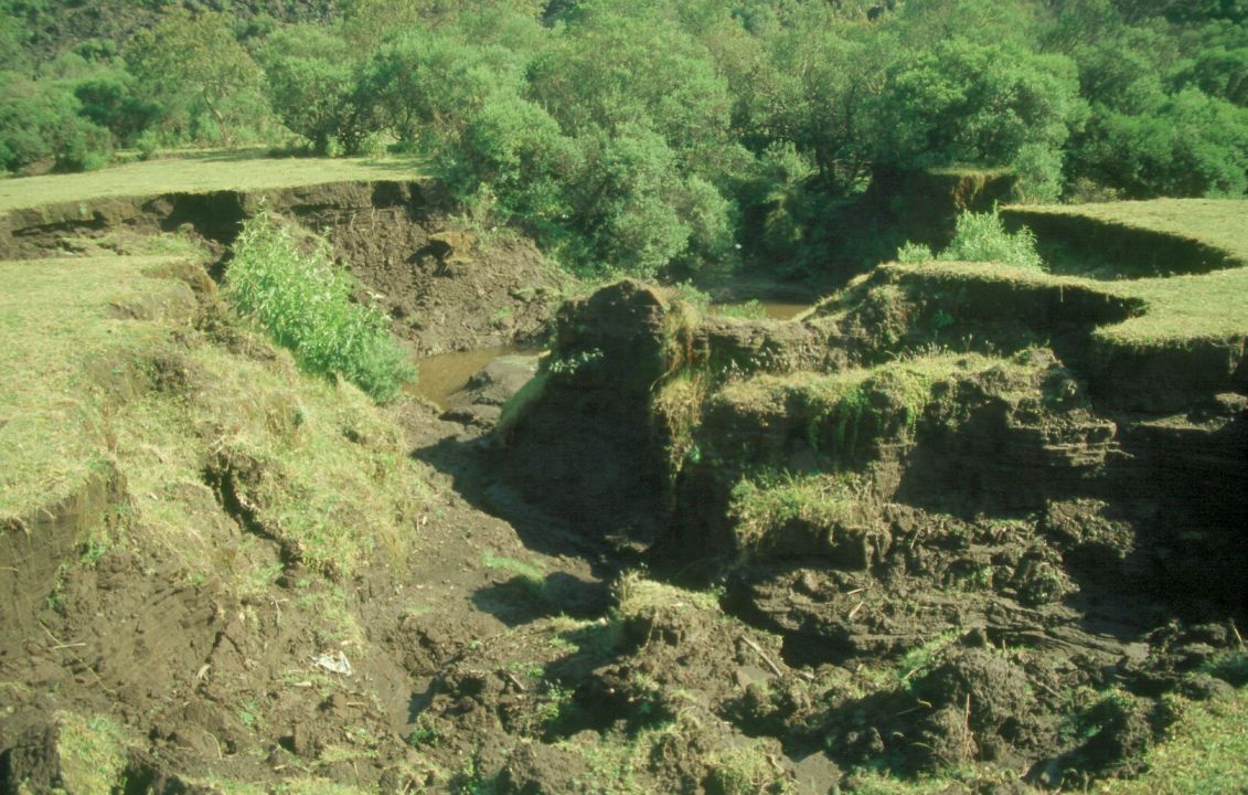 Subsidencia en los campos de cenizas 
