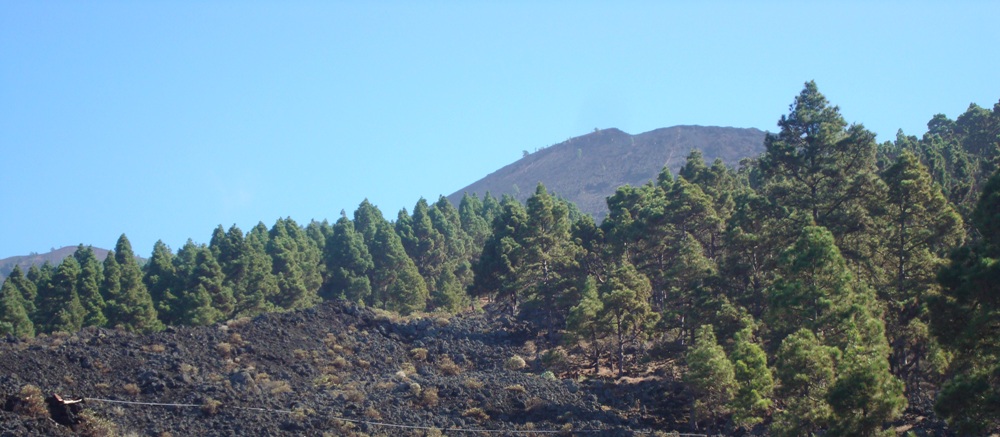 Montaa del Fraile