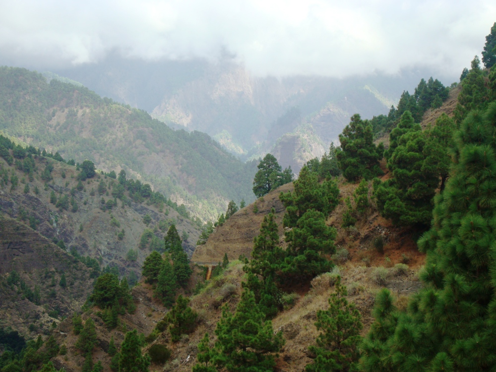 Barranco de Las Angustias