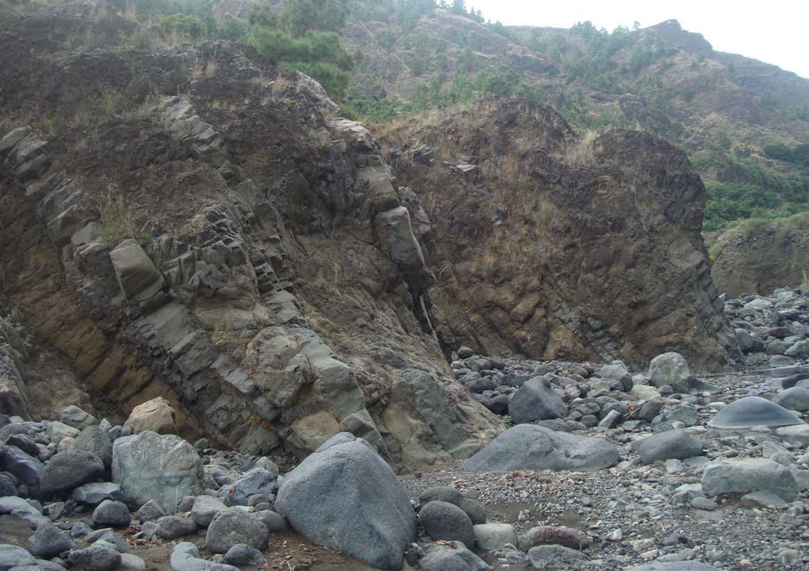Complejo basal