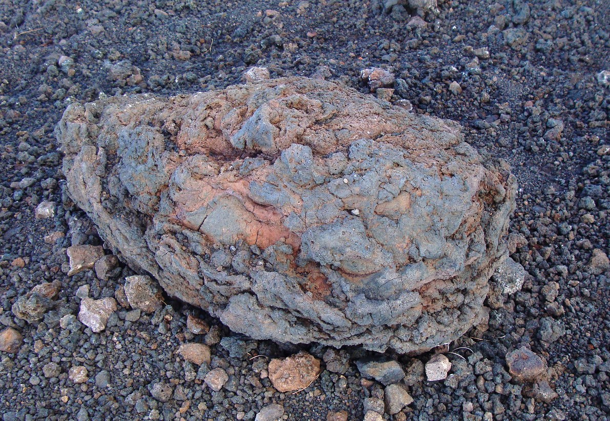 Bomba