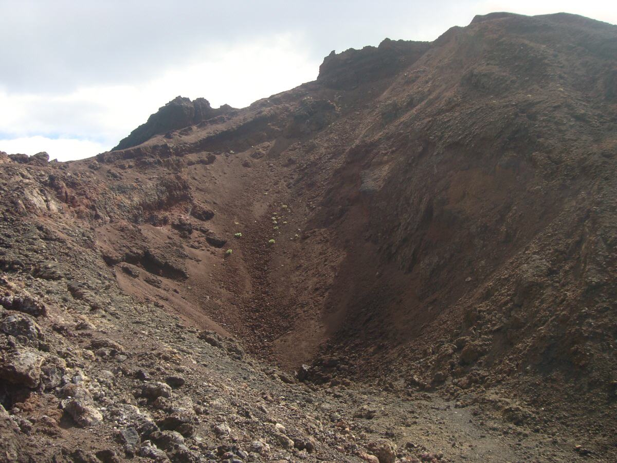 Crter en 2011. Las fumarolas han disminudo y hay colonizacin vegetal