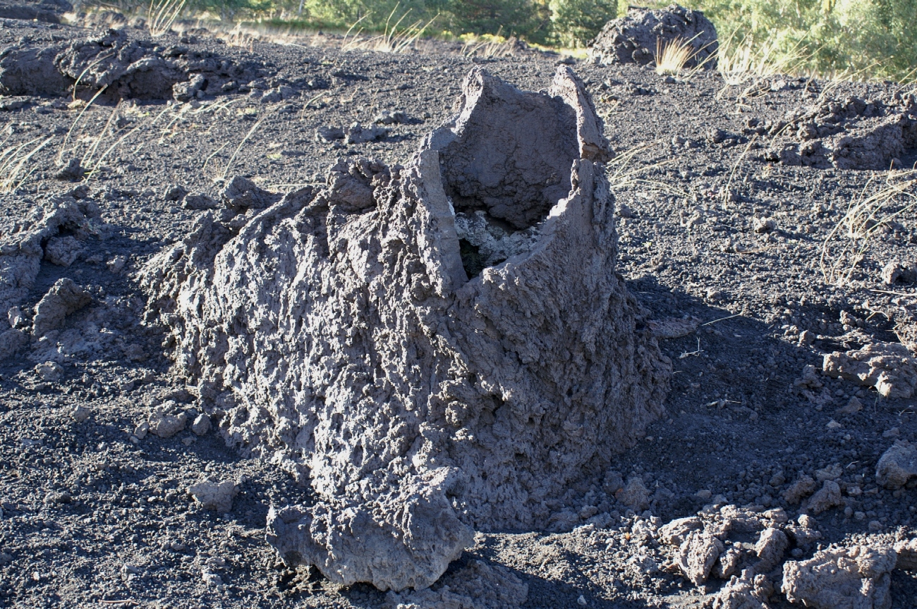 Tronco de rbol moldeado por la lava