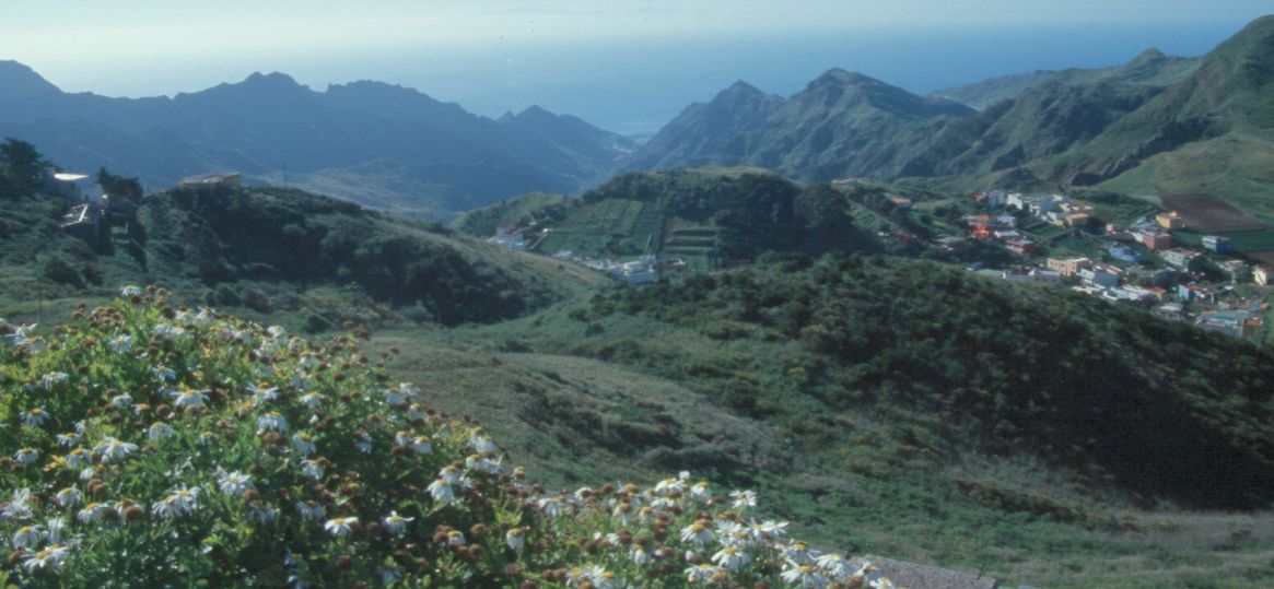 Barranco en Anaga