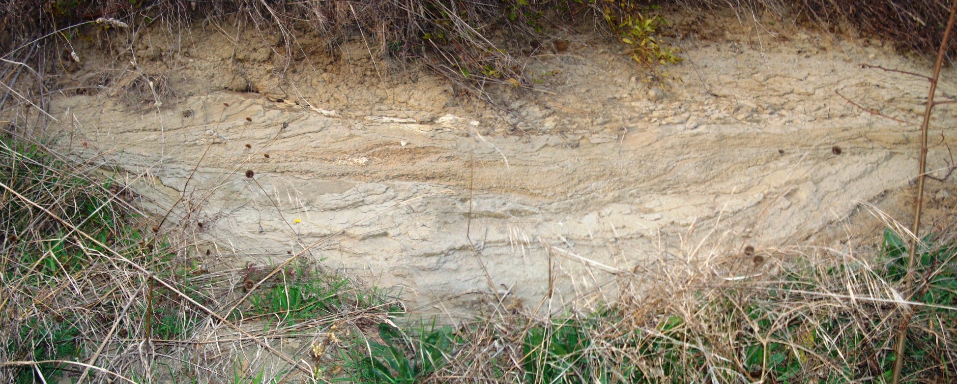 Flujos de alta energa con formacin de dunas. Monticchio
