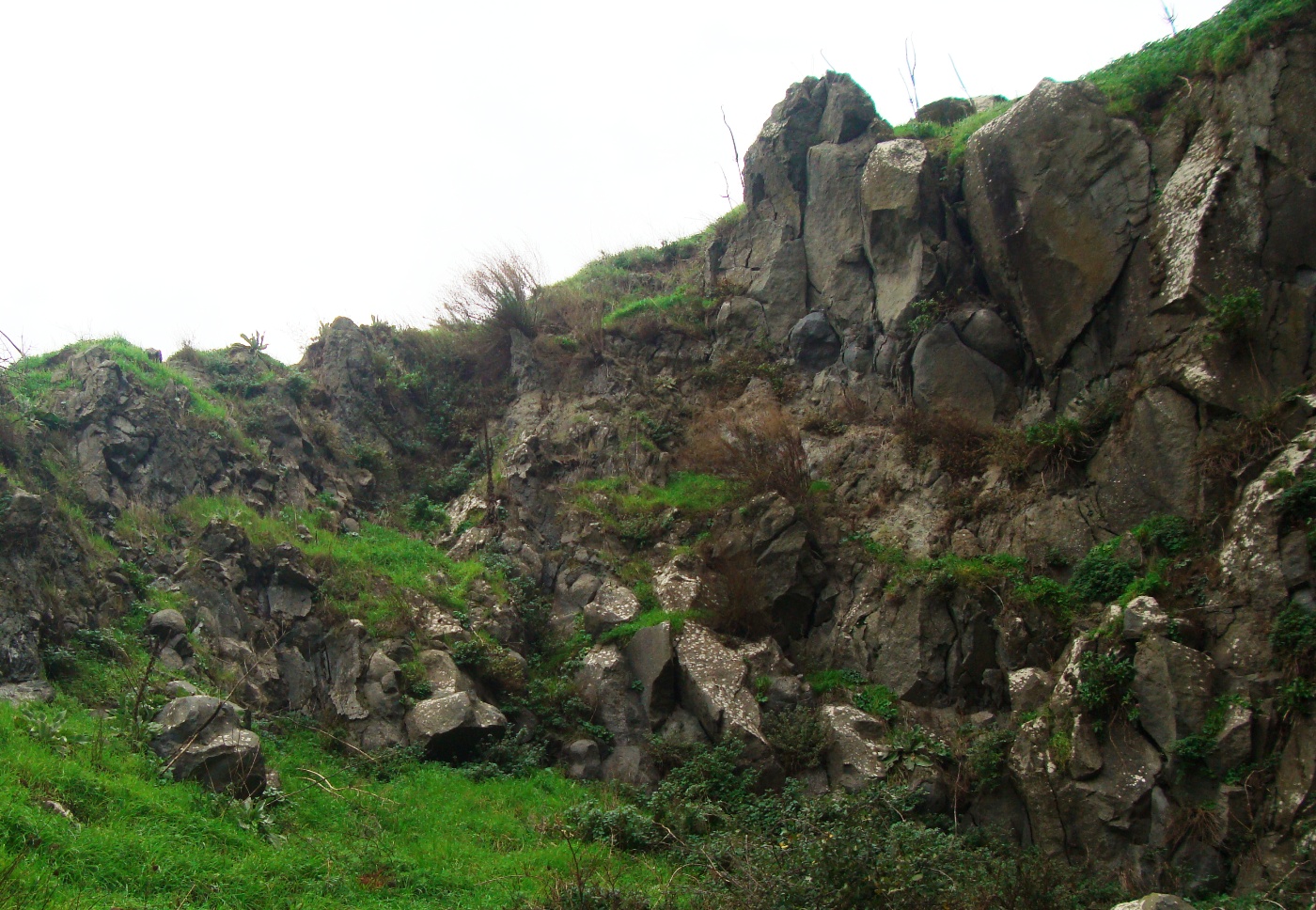 Lavas almohadilladas basales