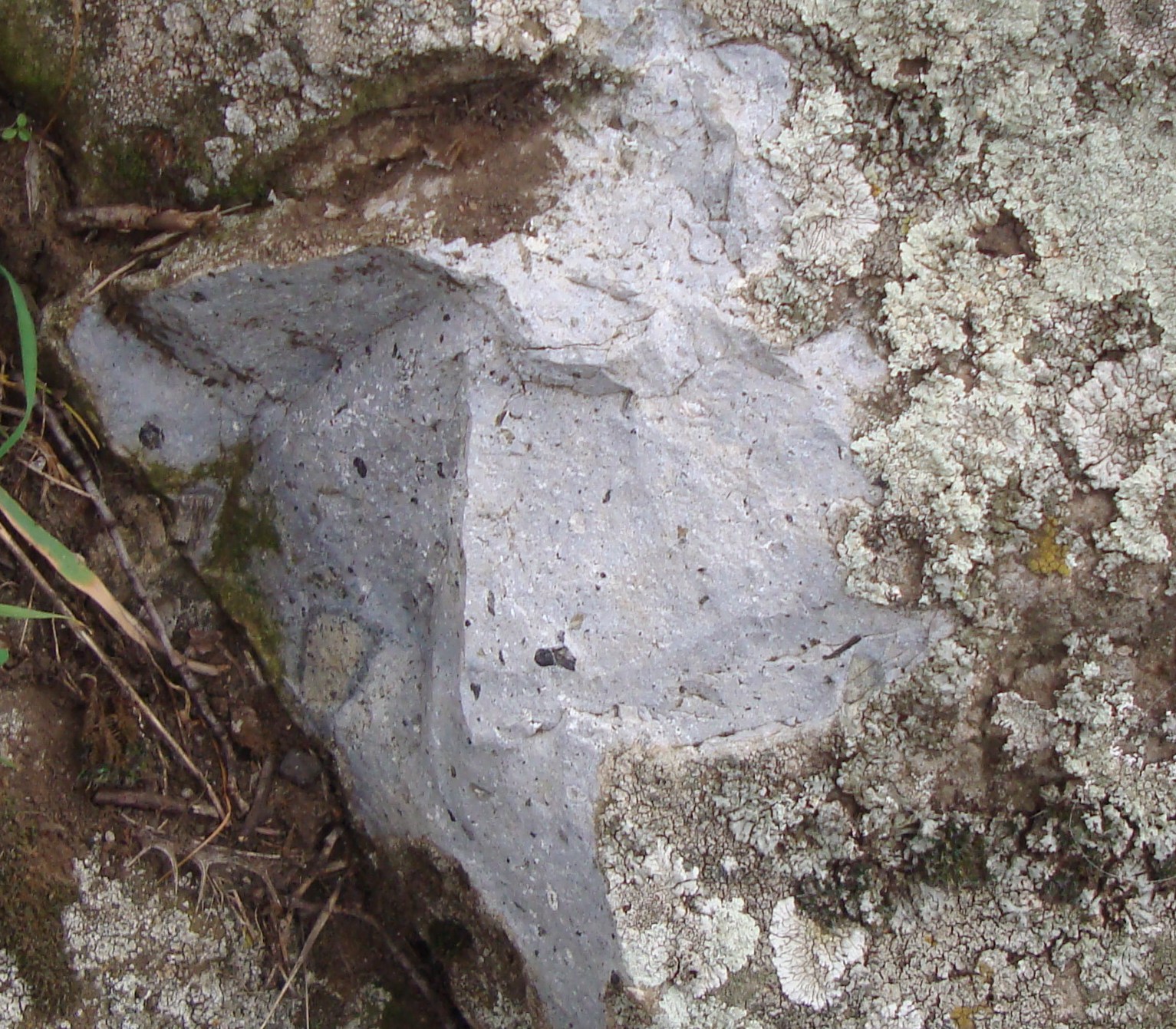 Carbonatita