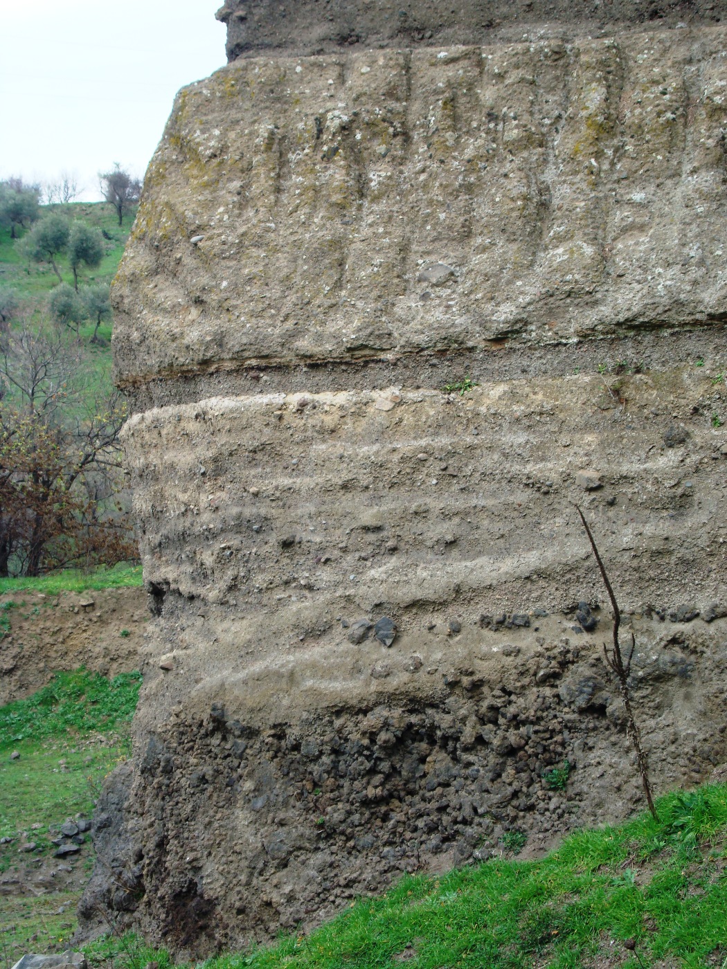 Detalle de la base de la secuencia
